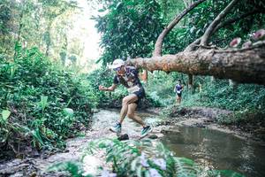 BIB: 
                            <button type="button" onclick="openModal(25430744)" class="btn btn-primary btn-sm float-right btn-popup" data-toggle="modal" data-target=".modal-high-quality">
                        <i class="fas fa-shopping-cart"></i> Add to Cart
                    </button>
                                            <button type="button" onclick="isThisMe(25430744, true)" class="btn btn-success btn-sm float-right btn-popup btn-isme hidden" data-toggle="tooltip" data-placement="bottom" title="นี่คือรูปของคุณใช่ไหม คลิกที่นี่เพื่อเอาเข้าอัลบั้ม">
                        <i class="fas fa-plus"></i> Add to album
                    </button>
                    <button type="button" onclick="isThisMe(25430744, false)" class="btn btn-warning btn-sm float-right btn-popup btn-isnotme hidden">
                        <i class="fas fa-ban"></i> Remove from album
                    </button>